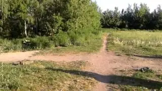 Стадион 