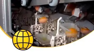Egg Breaking and Separation with SANOVO OptiLine