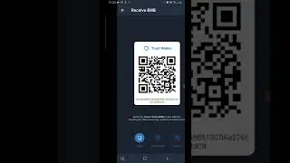 How To Buy Weetwo Using CashApp, Nominex & Poocoin💩😁