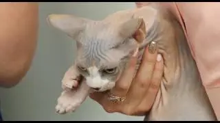 НАЕДИНЕ (ФАИНА ВИНОГРАДОВА И АННА СУРОВЦЕВА)