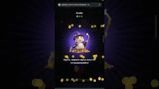 комбо в хомяке на 27-28 июня #hamsterkombat  выпускаю каждый день подписывайся чтобы не попустить