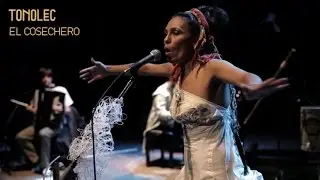 TONOLEC Acústico - 