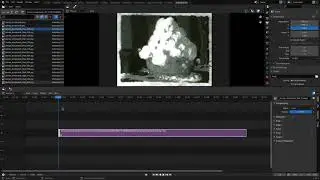 anim 301 mod12 Video Sequence Editor