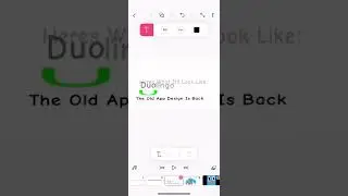 The New Logo And Mascot And App Icon Of Duolingo In 2023