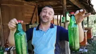 Защо на есен е ново менюто в капаните за Оси