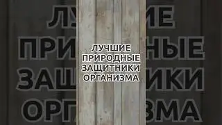 Вы обязаны знать это👆🏻 
