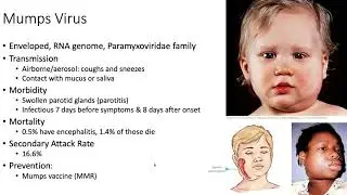 Micro Viral Diseases