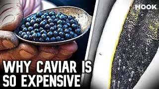 How Caviar Went from Poor Man's Food to $37,000 a Bite