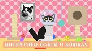 Научпоп: Интересные факты о кошках!