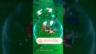 Ocean circuit judge achievment 