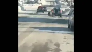 ДПСники Живодеры