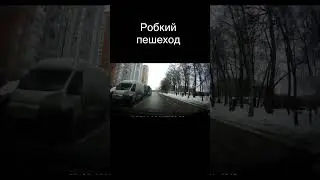 Робкий пешеход shorts #shorts