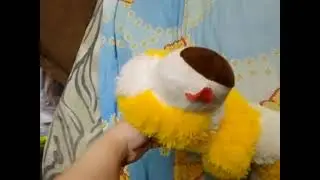 Do you speak English? Кошечки