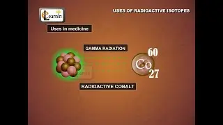 Radioisotopes Applications