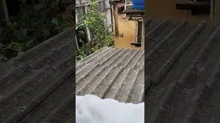 6 de março de 2024