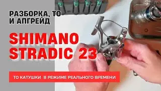 Разборка, ТО и апгрейд нового Stradic 23 (4K)