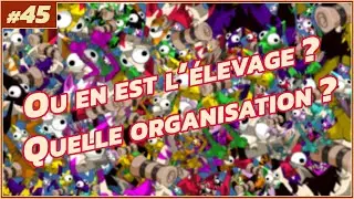 [DOFUS] L'AVENTURE EN DUO - L'élevage par Bijy - La suite !