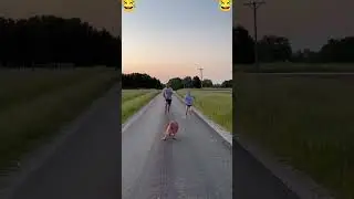 FUNNY PETS,,, 