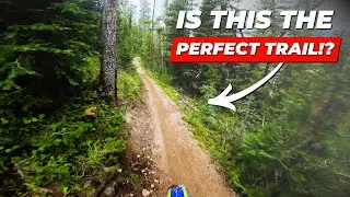 How Fast Would You Go On This Trail? 9 Minutes Of Perfect Single Track