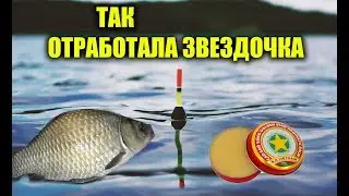 КАРАСЬ НА ЗВЁЗДОЧКУ! ВСТРЯХНУЛ ВОДОЁМ НО КАКОЙ РЕЗУЛЬТАТ В ИТОГЕ! РЫБАЛКА ЛОВЛЯ КАРАСЯ НА УДОЧКУ