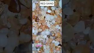 Ball Pen & Red Sand Under a Microscope! #shorts #andonstar #microscope #viral