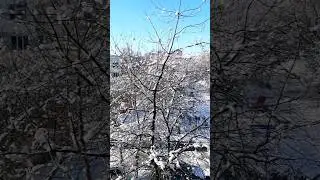 Реальные звуки и движение жизни. Продолжаем Жить 