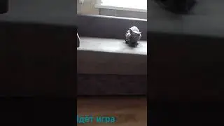 озорник сфинкс