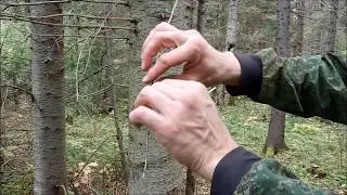 Кораблик из ветки и смолы пихты для детей