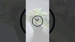 Smart Plant Care: Moisture Level Monitoring with IFTTT and ChatGPT Generated Code