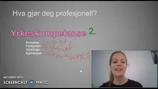 Profesjonell barne  og ungdomsarbeider
