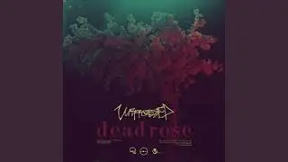Unprocessed - 