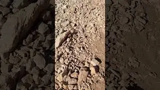 VID 20211007 132847