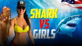 Sharks vs. Huge Fish While Spearfishing | Thrilling Underwater Battle