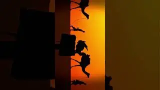 rotate your device!🔄️