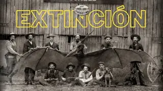 ULTIMAS FOTOGRAFIAS DE ANIMALES ANTES DE EXTINGUIRSE