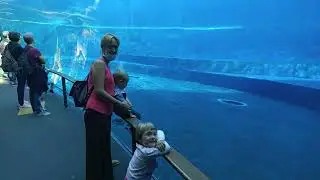 Acquario di Genova