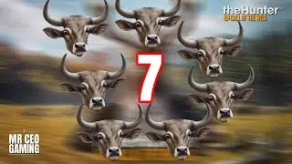 7 Glitch Banteng Kills with Shotgun #thehuntercallofthewild #hunting
