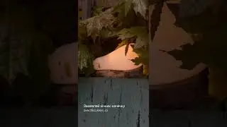 Автономний нічник Duck sleep