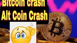 Bitcoin Price Crash / Alt Coin Price Down / What we doing Now