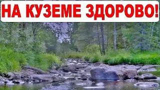 Карелия. Поход на байдарке. Река Кузема. Пороги и стоянки от Курвуниеми