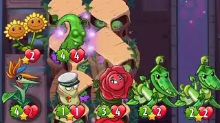 Stonk + Bird Of Paradise