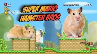 😜Super Lukas - Super Mario Hamster Maze Labyrinth😜 Super Mario Hamster Bros.