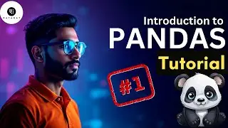 Pandas: The Python Library Every Data Scientist Needs