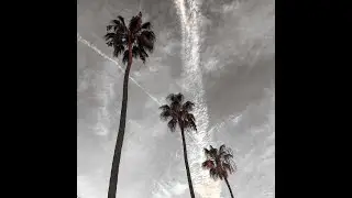 [FREE] Playboi Carti x Pierre Bourne TYPE BEAT "Flare"