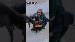 #viral#trendingshorts