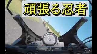 [GPZ900R]サーキット編　HSR九州　ピレリファントラックデイ　20211010　ファーストクラス　1枠目