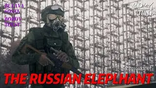 контракт на три года...