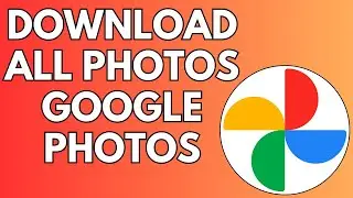 How to Download All Photos From Google Photos - Download From Computer 2024