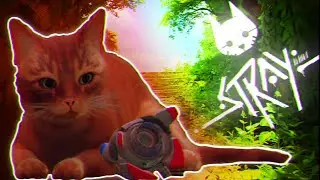 It Had To Be Done... Right? | Stray - ENDING