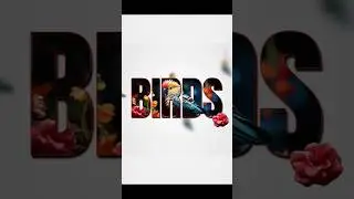 Bird Portrait in Photoshop 
